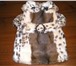Фото в Домашние животные Товары для животных Продаётся новая шубка на собачку мелкой породы в Дубна 2 000