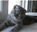 Изображение в Домашние животные Вязка Молодой кот приглашает в гости  леди.Немного в Нижнем Новгороде 0