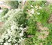 Foto в Недвижимость Продажа домов Продам дом в центральном районе,общая площадь в Красноярске 11 000 000