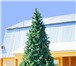 Foto в Строительство и ремонт Дизайн интерьера Компания Green Trees, российский производитель в Астрахани 10