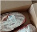 Foto в Прочее,  разное Разное Мясо говядина 1 категории(туши, полутуши, в Москве 210