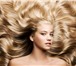 Изображение в Красота и здоровье Товары для здоровья Апельсин помогает от сухости волос и перхоти. в Уфе 550
