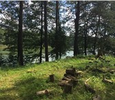 Foto в Недвижимость Земельные участки Продаю 2 лесных участка на берегу озера Ильгис, в Москве 125 000