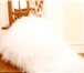 Изображение в Одежда и обувь Свадебные платья Платье со шлейфом в хорошем состояние после в Барнауле 15 000