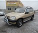 Chevrolet Niva 1,  7 МТ 2005 г, 2337348 Chevrolet Niva фото в Саратове