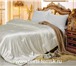 Фото в Мебель и интерьер Разное Купить высококачественное одеяло наполнитель в Томске 9 450