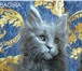 Мейн-кун котята от Европейского чемпиона, 179814  фото в Москве