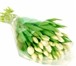 Изображение в Прочее,  разное Разное Осуществляем оптовую доставку тюльпанов по в Брянске 60