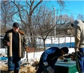 Изображение в Строительство и ремонт Разное Привезу и установлю под ключ Септик Топас в Москве 12 300