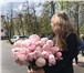 Foto в Прочее,  разное Разное Магазин цветов ПРОботанику на Советской в в Костроме 700