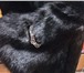 Изображение в Одежда и обувь Женская одежда Продам новую норковую шубу! Размер 50-52, в Комсомольск-на-Амуре 130 000