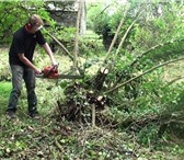 Фото в Строительство и ремонт Другие строительные услуги Снос домов, Снос строений. Уборка территории. в Москве 0