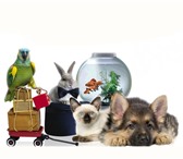 Фотография в Домашние животные Товары для животных «Зайцы» – это зоо интернет-магазин, который в Москве 10