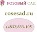 Foto в Развлечения и досуг Разное Доставка цветов в Брянске &quot;Розовый сад&quot;. в Брянске 0