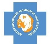 Изображение в Домашние животные Корм для животных Ветеринарная клиника на Беговой рада представить в Москве 200