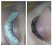 Фото в Красота и здоровье Салоны красоты Сегодня ресницы 3D-Lashes необычайно востребованы в Оренбурге 3 000