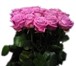 Фото в Домашние животные Растения «Служба доставки цветов» - доставим свежесрезанные в Екатеринбурге 25