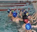Фото в Спорт Спортивные школы и секции Обучение плаванию по направлениям: Оздоровительное в Красноярске 250