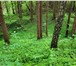 Изображение в Недвижимость Земельные участки Представляю Вашему вниманию земельные участки в Смоленске 450 000