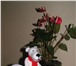 Foto в Для детей Детские игрушки симпатичные вязаные панды, медвежата, зайцы, в Барнауле 300