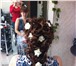 Изображение в Красота и здоровье Салоны красоты Стрижки и окрашивание волос любой сложности в Ставрополе 500