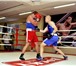 Foto в Спорт Спортивные школы и секции Бокс, Кикбоксинг, ММА, Тайский бокс, Аэробоксинг, в Новосибирске 2 800
