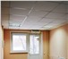 Фото в Недвижимость Аренда нежилых помещений сдам в аренду нежилое помещение, площадь в Красноярске 900