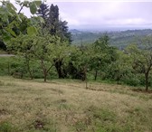 Фотография в Недвижимость Земельные участки Продается земельный участок с домом. Документы-собственность. в Сочи 10 500 000