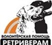 Лабрадоры и голдены в добрые руки 1166314 Лабрадор-ретривер фото в Москве