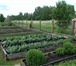 Foto в Недвижимость Продажа домов Продам полдома (40,1 м2) с участком (20 соток) в Красноярске 590 000