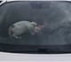 Смотреть изображение Вязка Ищу кота-сфинкса для вязки 1484523 в Екатеринбурге Foto в Домашние животные Вязка Девочка сфинкс ищет котика. в Екатеринбурге 0
