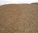 Фотография в Строительство и ремонт Строительные материалы Мы предлагаем поставки щебень гравий песок в Кимры 800