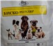 Изображение в Домашние животные Корм для собак Корма для собак и кошек «Bisko» производятся в Лиски 135