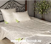 Изображение в Мебель и интерьер Разное Зимние одеяла Tango с натуральными наполнителями в Томске 3 560