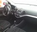 Продам недорого новый kia picanto 349108 Kia Picanto фото в Москве