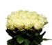 Изображение в Домашние животные Растения «Служба доставки цветов» - доставим свежесрезанные в Екатеринбурге 25