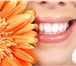 Foto в Красота и здоровье Стоматологии Оказание стоматологических услуг. Лечение в Краснодаре 3 000