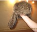 Фото в Одежда и обувь Мужская одежда Продам шапку зимнюю мужскую, размер 56 в Омске 2 000