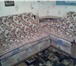 Фото в Мебель и интерьер Мягкая мебель Продам диван. Раздвигается как двухспальная в Владивостоке 8 000