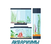 Foto в Домашние животные Рыбки Интернет-магазин "Ho-fish" осуществляет продажу в Москве 100