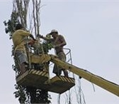Foto в Строительство и ремонт Разное требуются подсобные рабочии по благоустройствуспил в Курске 20 000