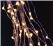 Изображение в Мебель и интерьер Светильники, люстры, лампы Светодиодная гирлянда Branch light или "Конский в Рязани 780