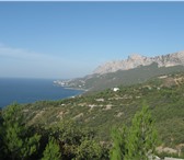 Фото в Недвижимость Земельные участки Компаньона для строительства дома в Большой в Ялта 1 000 000