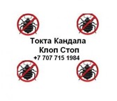 Фотография в Прочее,  разное Разное Уничтожение: Клопов Блох Тараканов и других в Барнауле 0