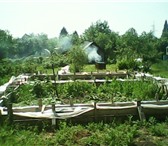 Изображение в Недвижимость Сады Продается садовый участок напротив п.Максимовка. в Уфе 200 000