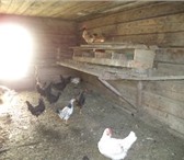 Фото в Недвижимость Продажа домов Продам надежный дом в хорошем состоянии.Жилая в Вяземский 2 000 000