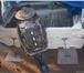 Foto в Авторынок Транспорт, грузоперевозки Продаю лодку Крым с мотором "Ямаха 50" с в Астрахани 90 000