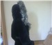 Foto в Одежда и обувь Женская одежда Продам мутоновую шубу , капюшон с чернобуркой, в Пензе 13 000
