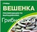 Фотография в Работа Работа на дому Грибной бизнес. ИТЦ Грибной дом в Ростове-на-Дону в Ростове-на-Дону 20 000