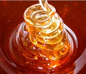 Фотография в Прочее,  разное Разное Самый вкусный мед из Башкирии.Продажа башкирского в Уфе 200